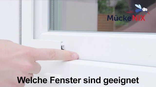 Fenstertyp